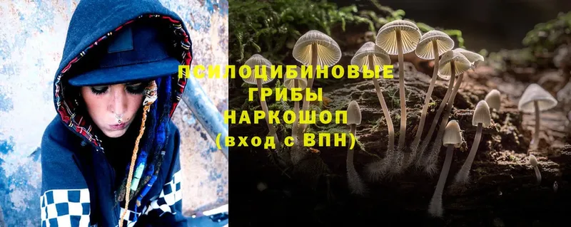 дарнет шоп  Петровск-Забайкальский  hydra ссылки  Галлюциногенные грибы MAGIC MUSHROOMS 